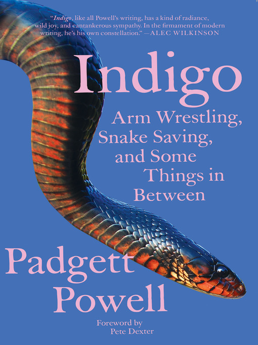 Title details for Indigo by Padgett Powell - Available